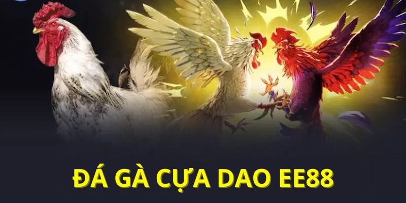 Đá Gà Cựa Dao EE88 Cuộc Chiến Của Những Chiến Kê Huyền Thoại